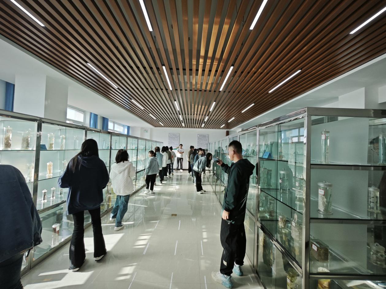 2b5416ac237644ab8be8463373434766.Jpeg 2b5416ac237644ab8be8463373434766.Jpeg