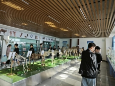 9cd1d1ecf13d4658861ba1b02e1d9466.Jpeg 9cd1d1ecf13d4658861ba1b02e1d9466.Jpeg