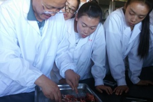 甘肃畜牧工程职业技术学院 2018综合评价招生简章 