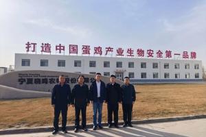 党建共建聚合力 校企协同促发展——兽医科技学院与宁夏晓鸣农牧股份有限公司开展党建共建活动