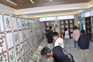 坚定兽医信念 谱写兽医事业——兽医科技学院开展庆祝第14个“中国兽医日”的系列活动