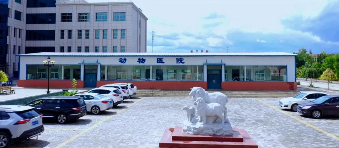 43559e248c2e4e19b8689f8b93adbe5d.Png 43559e248c2e4e19b8689f8b93adbe5d.Png