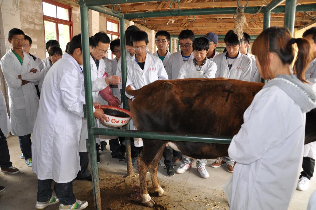 cf5ede2044674a68981f50e8dcaadb94.Jpeg cf5ede2044674a68981f50e8dcaadb94.Jpeg